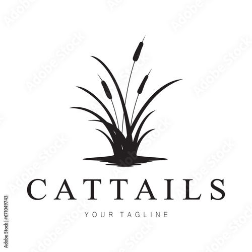 cattails or river reed grass plant logo design, aquatic plants, swamp, wild grass vector