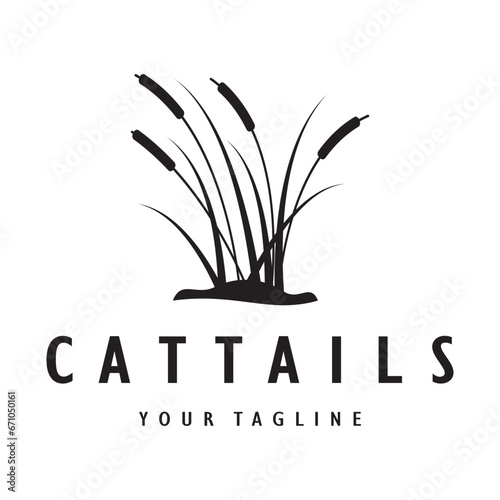 cattails or river reed grass plant logo design, aquatic plants, swamp, wild grass vector