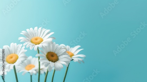  a bunch of daisies in a vase on a blue background.  generative ai