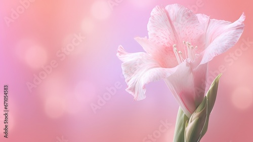  a pink flower with a blurry background is in the foreground.  generative ai