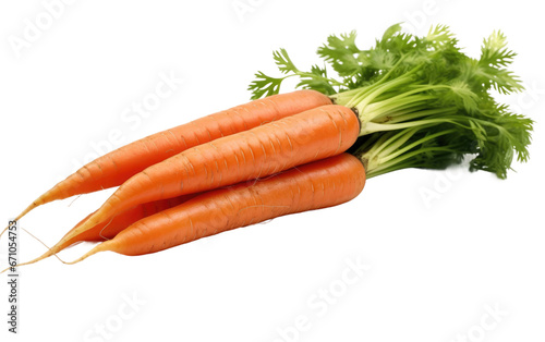 Fresh carrot Transparent PNG
