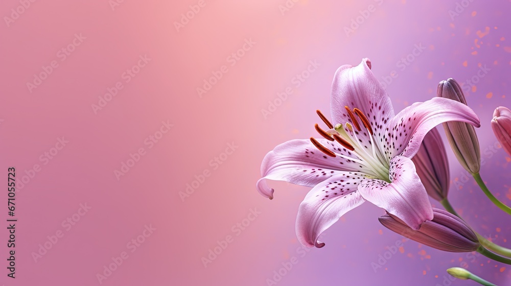 a close up of a flower on a pink and purple background.  generative ai