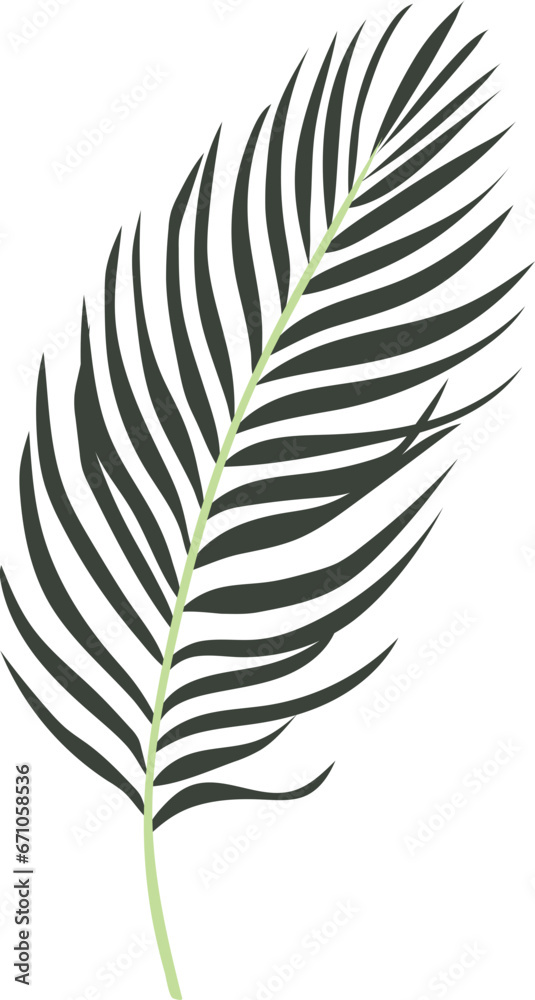 Naklejka premium Palm tropical leaf illustration
