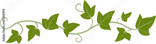 Obraz na płótnie ivy plant drawing illustration. w salonie