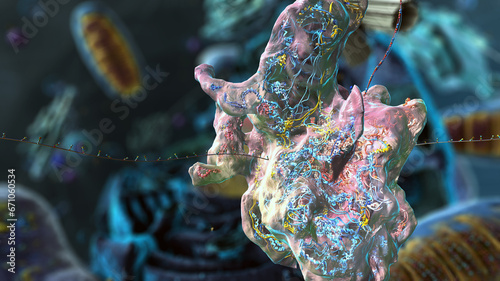 Organelles inside Eukaryote, focus on ribosomes - 3d illustration photo