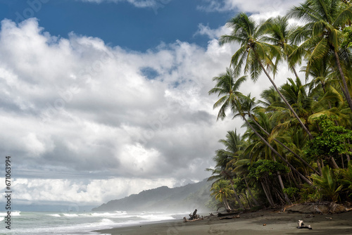 beach with palm trees in Corcovado national park photo