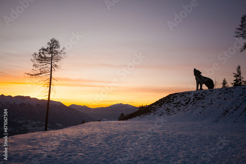 Wooden sculpture of a wolf. Italian landmark at dawn