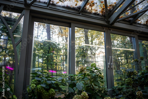 Greenhouse garden in autumn-winter time for plants. Plant cultivation concept. Glasshouse hothouse with warm climate inside. Botanical park with different types green flowers. Fallen leaves on roof.