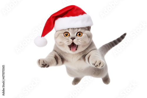 Portrait of a beautiful cat in a New Year's cap, isolated on a transparent background. PNG. Cute, happy crazy cat in red Santa hat headshot 