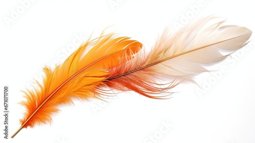  a single orange and white feather is on a white background.  generative ai