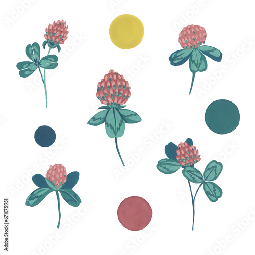 Clover flower, petals and leaves. Gouache illustration. Isolated objects on a white background.