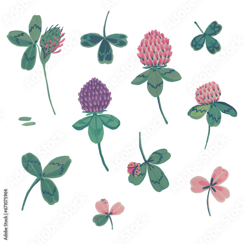 Clover flower, petals and leaves. Gouache illustration. Isolated objects on a white background.