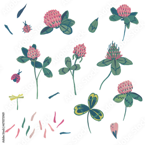 Clover flower, petals and leaves. Gouache illustration. Isolated objects on a white background.