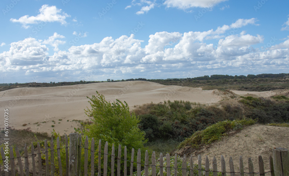 
Sand dunes called 'the desert' in nature reserve 'De Westhoek' in De Panne, Belgium
