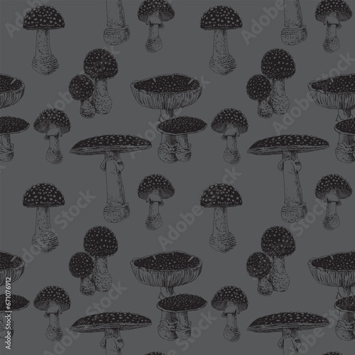 Seamless pattern of amanita mushrooms drawn by vector in grey. Fly agaric. For poster, fabric, sketchbook cover, print.	