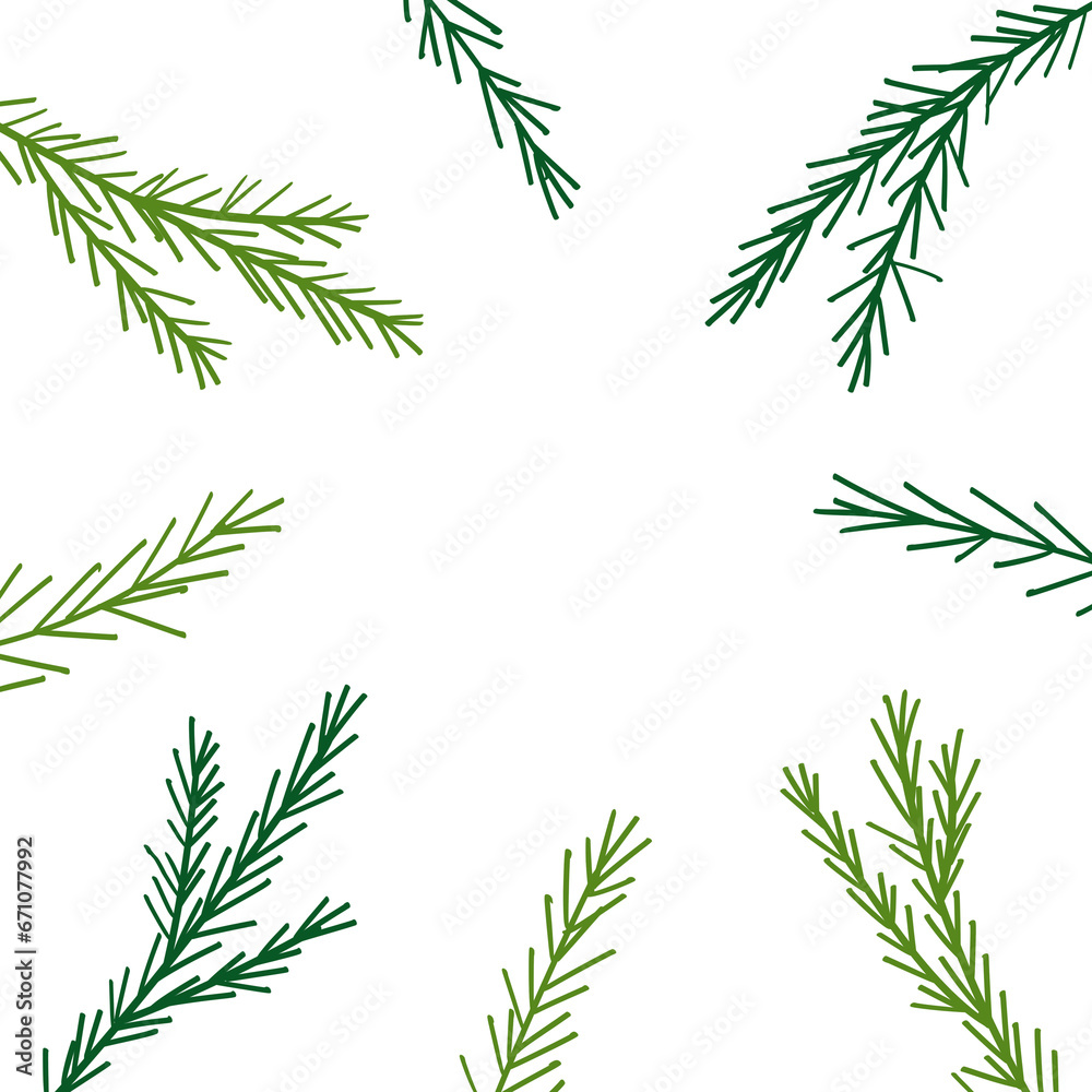 Fototapeta premium Pine tree copy space frame