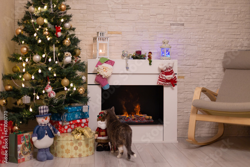 Decorated Christmas tree, gifts in boxes, a cat standing by a burning fireplace. New Year Christmas. Selective focus.