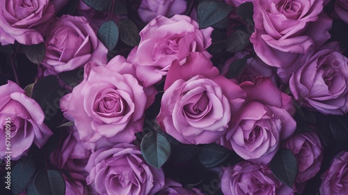  a bunch of purple roses with green leaves on a table.  generative ai