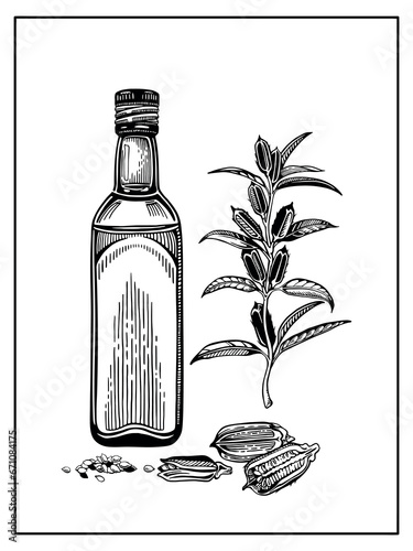 Composition with a bottle of sesame oil and a sprig with leaves, sesame seeds.