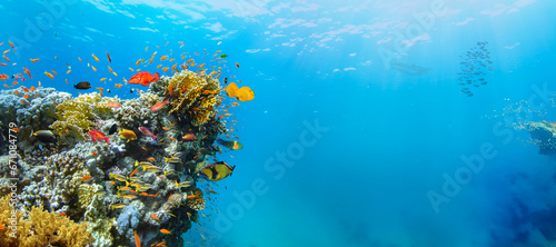 Fototapeta Naklejka Na Ścianę i Meble -  Underwater Tropical Corals Reef with colorful sea fish. Marine life sea world. Tropical colourful underwater panormatic seascape.