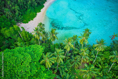 Bird eye drone of Port Glaud beach, white sandy beach, turquoise water, coconut palm, greenery, trees, sunny day, Mahe Seychelles