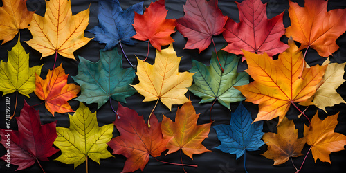 banner of colorful maple leaves, graphic design