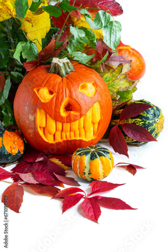 Carved Halloween pumpkin. Spooky laughing  scary head.