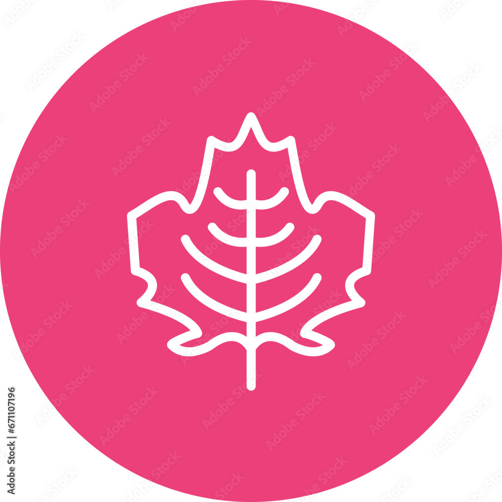 Maple Leaf Icon