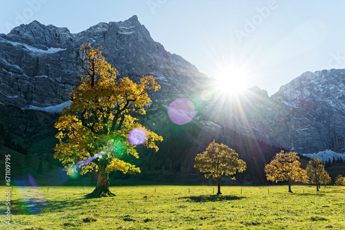 Herbstbäume zum Sonnenuntergang am Ahornboden im Karwendel Nationalpark