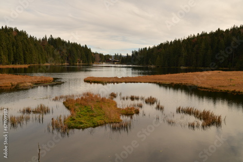 Blick über den großen Arbersee