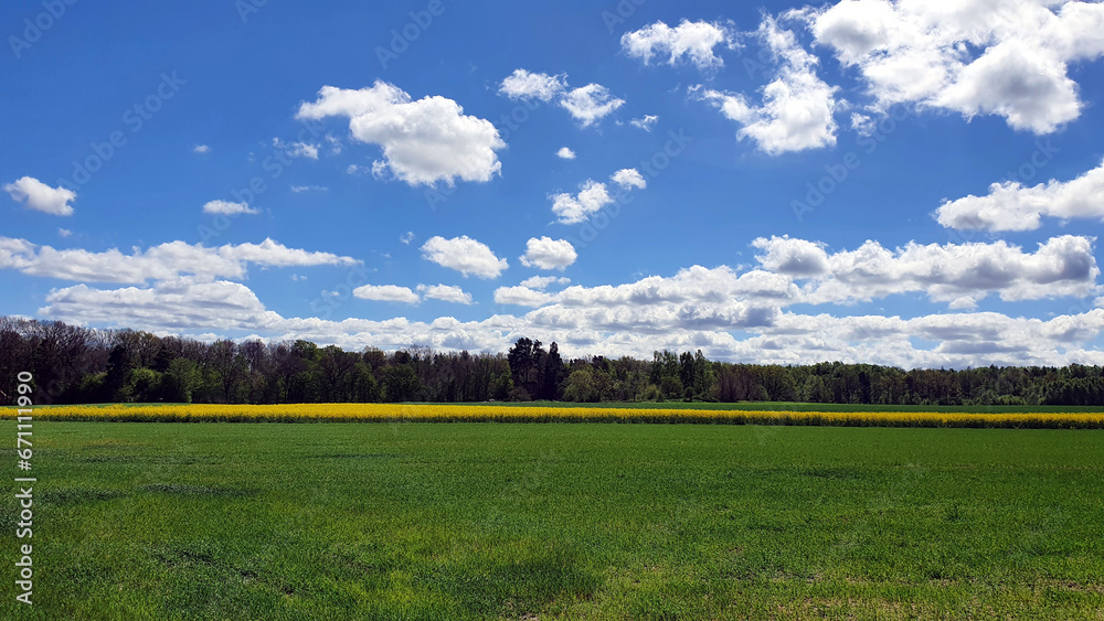 Fototapeta premium Beautiful spring landscape of fields and meadows in the Polish countryside