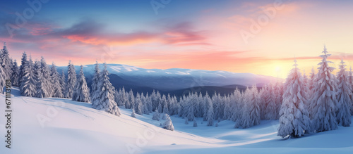 landscape with snow capped pine trees wallpaper, pine forest covered with snow, sunset, sunrise panorama banner design