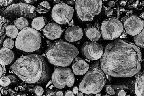 A woodpile stock