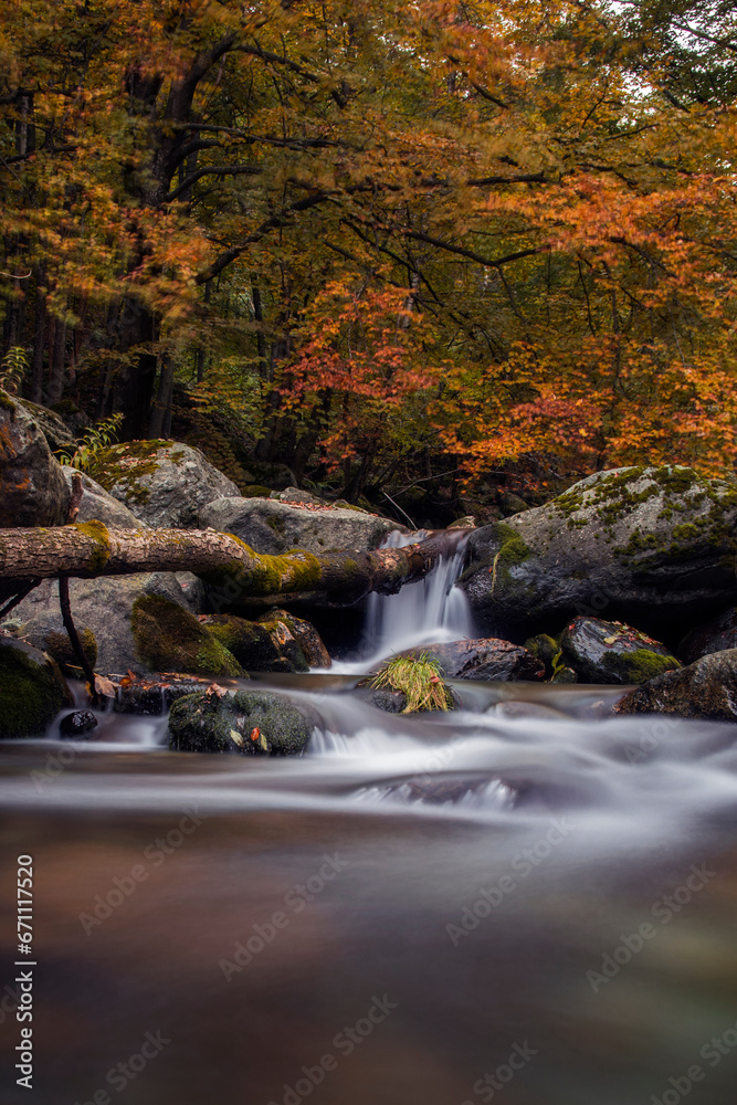 Foliage above the Po river on an autumn day. Silk effect on flowing waters. Monviso park, Piedmont, Italy. Autumnal woodland scene.