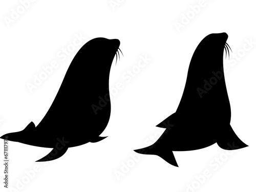 sea lion silhouette