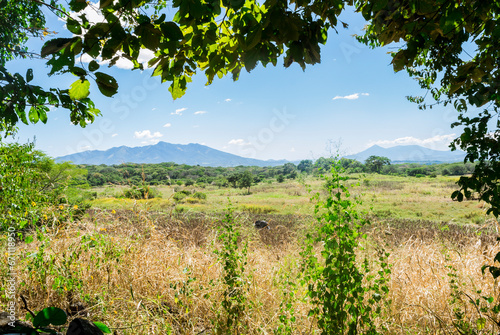 countryside landscape with a natural frame