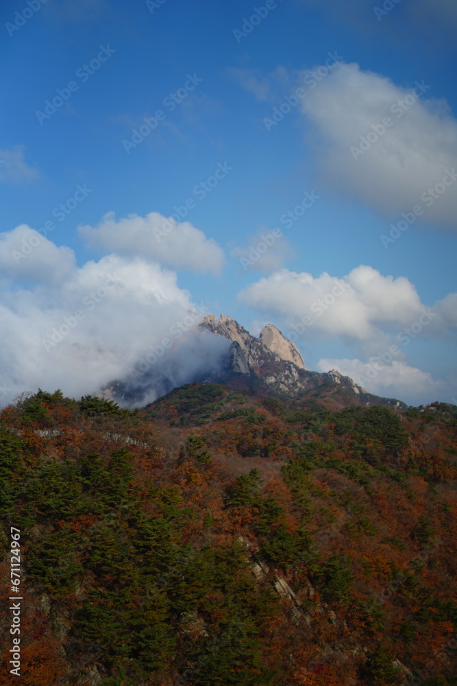 Fototapeta premium 북한산 정릉 단풍