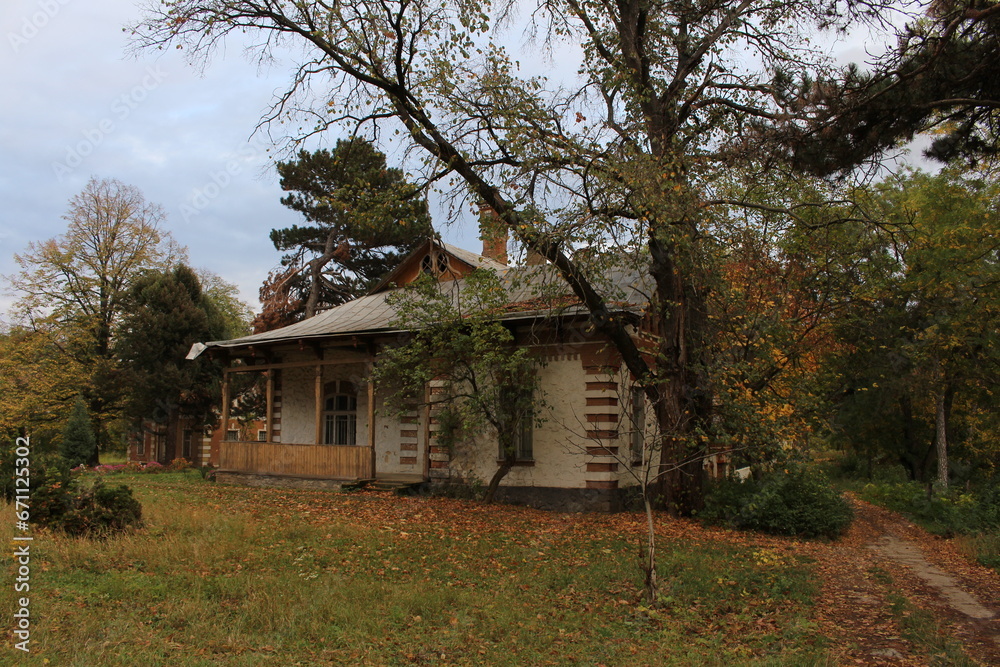 A house with a tree in the back A house with a tree in the back