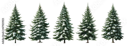 Photo Set of green trees with snow isolated on the white background, fir tree, spruce