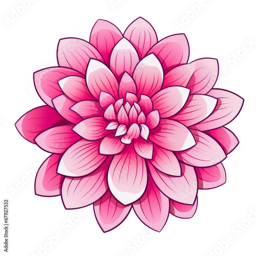 Hand drawn of beautiful pink Dahlia flowers with leaf. Botanical illustration isolated on white background. Can be used for stickers  greeting card