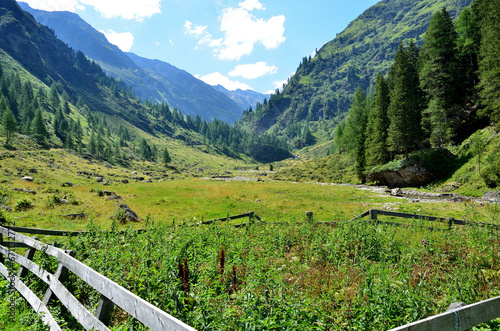 Typical alpine landscape on a summer day