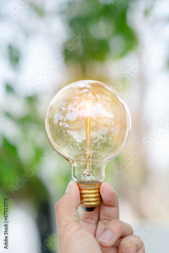 hand holding bulb