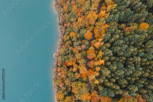 Luftaufnahme von Wald am See