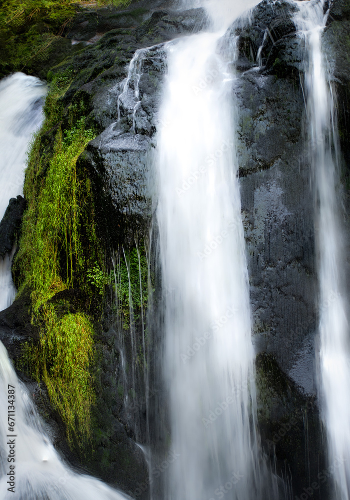 Fototapeta premium waterfall in the forest