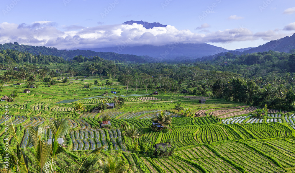 Rice fields in Sidemen valley with Mount Agung in the background, Bali, Indonesia.