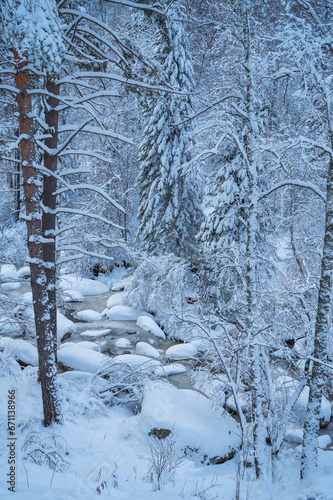 Winter landscape with fair ...