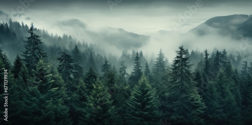 Mystical Green Forest in the Mountains © Unitify