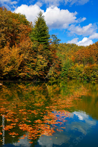 Beautiful autumn landscape by the Vida lake in Apuseni Mountains, Romania. Trees in colorful foliage and forested in the Occidental Carpathians reflecting in the water surface.