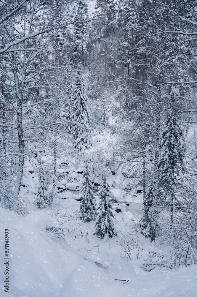 Winter landscape with fair trees under the snow. Winter landscape with fair trees under the snow.