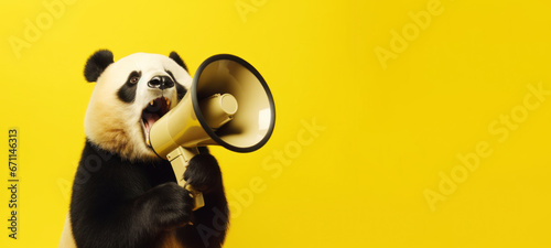 Panda with loudspeaker on yellow background